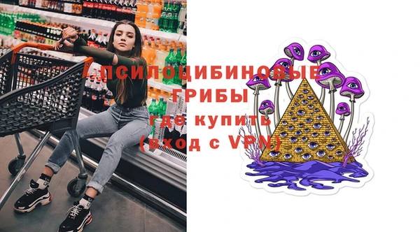 сатива Алексин