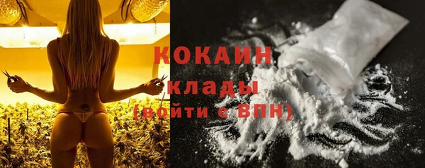 сатива Алексин