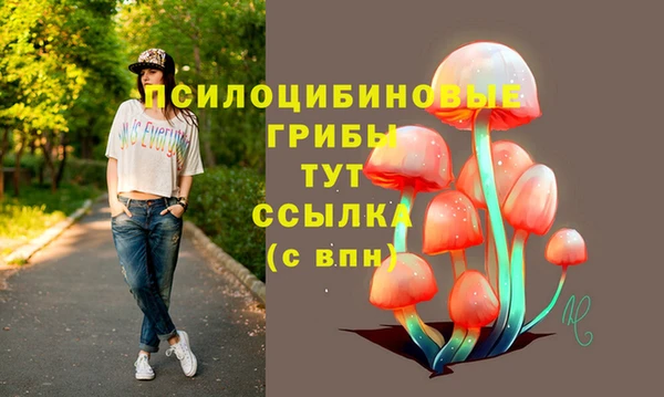 первитин Алексеевка